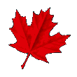 Maple Leaf